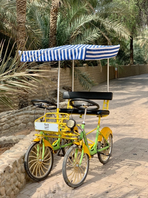 The Oasis is big, rent a bike to ride around the entire Oasis.
